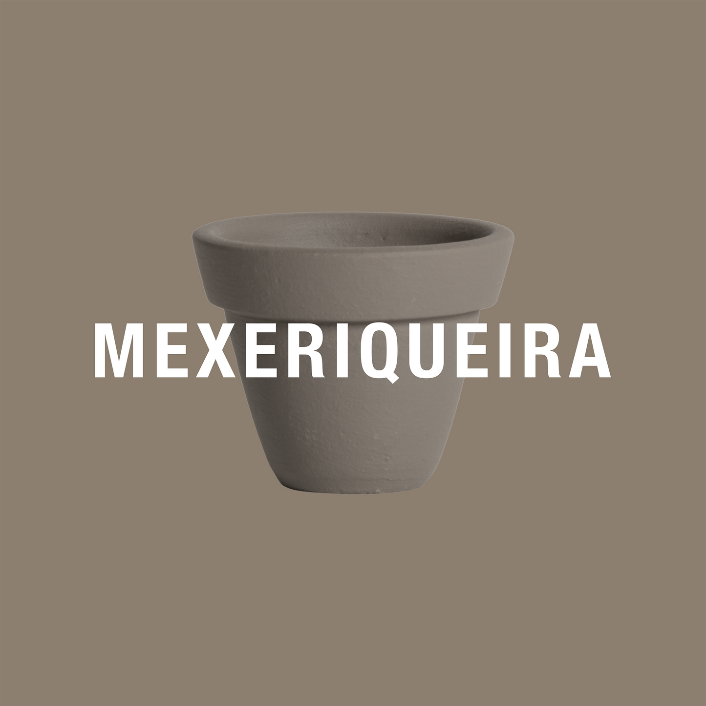 Mexeriqueira