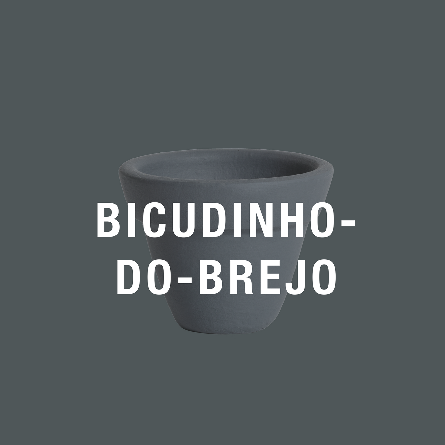Bicudinho-do-brejo-paulista